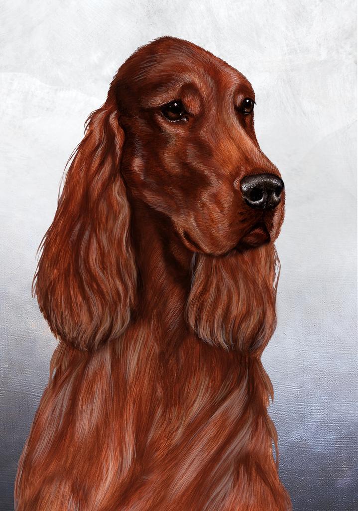 Irish Setter Dog by Tamara Burnett Box of 10 Blank Note Cards 4x5 266600 1061-4x5