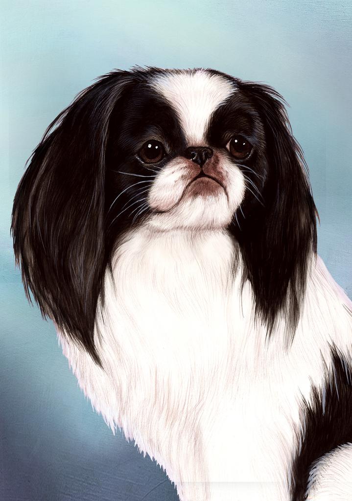 Japanese Chin Dog by Tamara Burnett Box of 10 Blank Note Cards 4x5 266604 1064-4x5