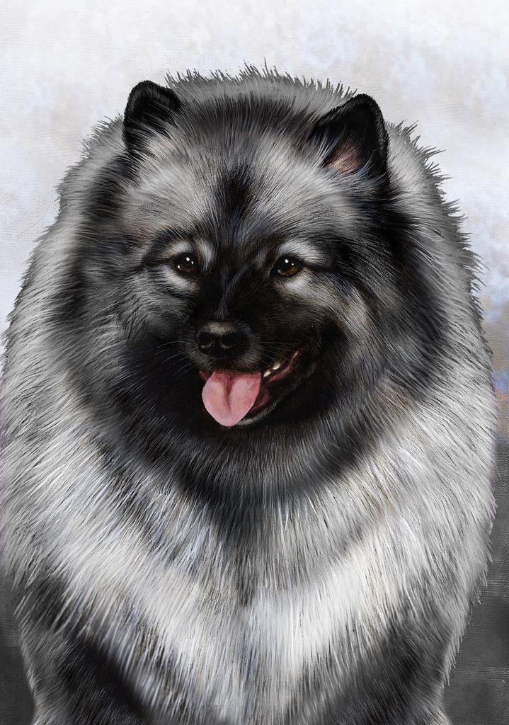 Keeshond Dog by Tamara Burnett Box of 10 Blank Note Cards 4x5 266605 1067-4x5