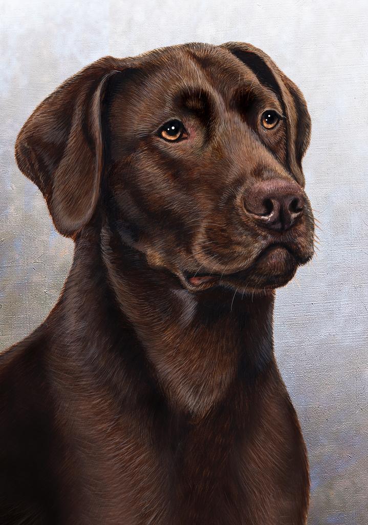 Labrador Chocolate Dog by Tamara Burnett Box of 10 Blank Note Cards 4x5 266607 1069-4x5