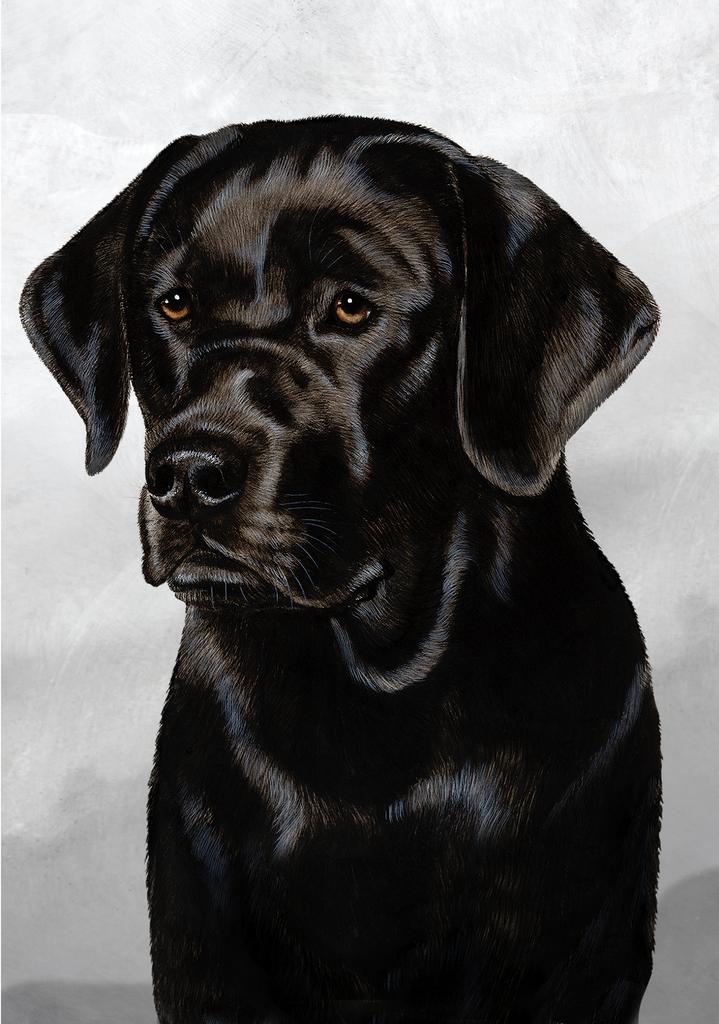 Labrador Retriever Black Dog by Tamara Burnett Box of 10 Blank Note Cards 4x5 266608 1068-4x5