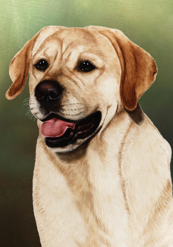 Labrador Yellow Dog by Tamara Burnett Box of 10 Blank Note Cards 4x5 266609 1071-4x5