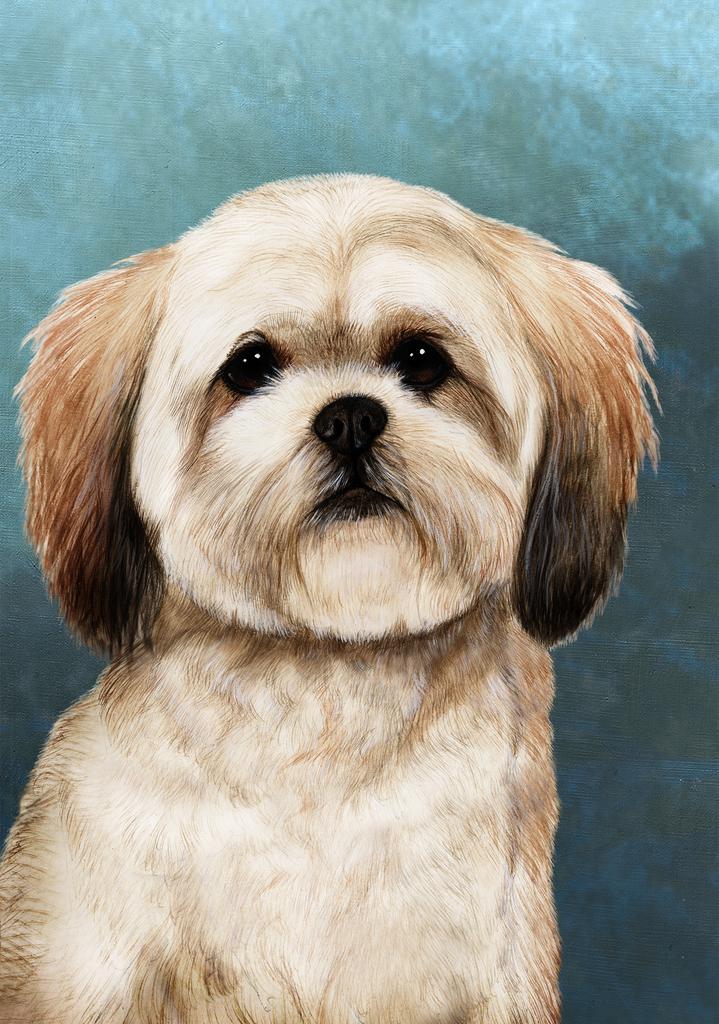 Lhasa Apso Dog by Tamara Burnett Box of 10 Blank Note Cards 4x5 266610 1073-4x5