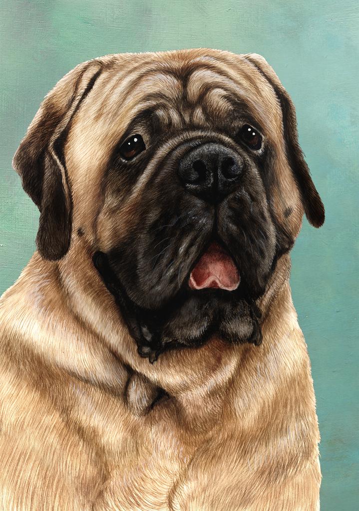 Mastiff Dog by Tamara Burnett Box of 10 Blank Note Cards 4x5 266613 1075-4x5