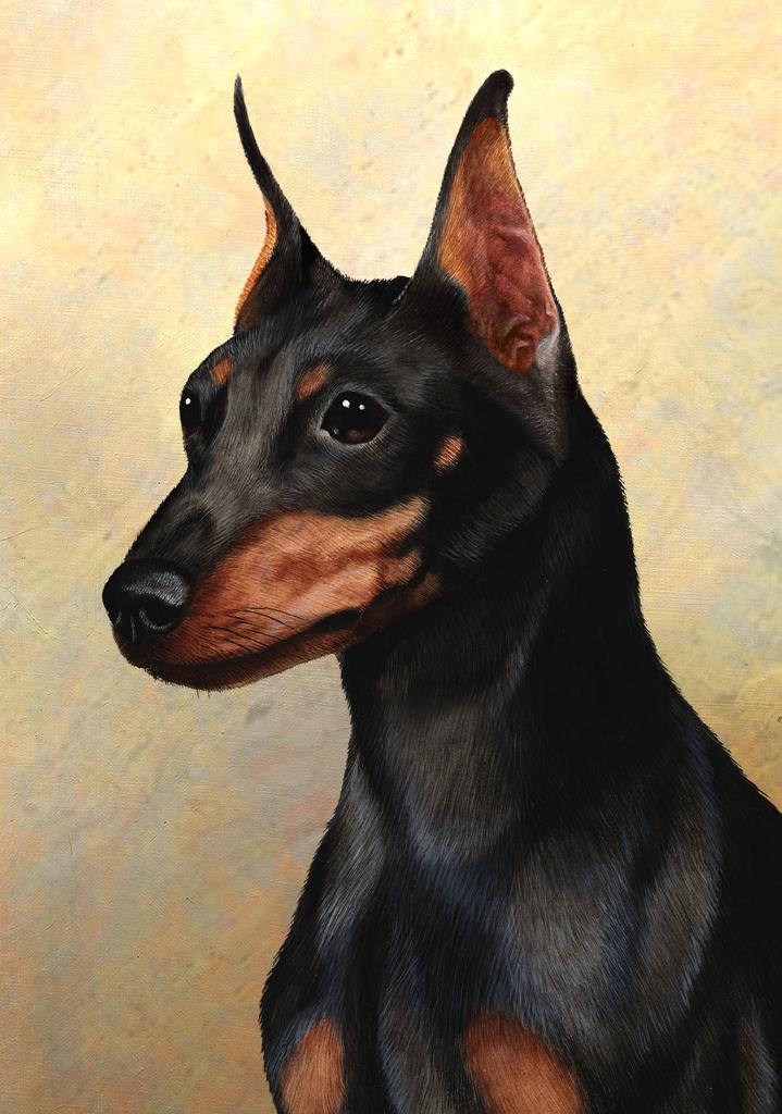 Miniature Pinscher Dog by Tamara Burnett Box of 10 Blank Note Cards 4x5 266614 1074-4x5