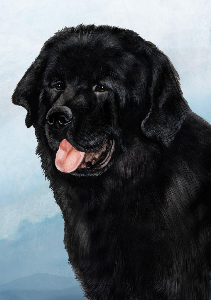 Newfoundland Dog by Tamara Burnett Box of 10 Blank Note Cards 4x5 266615 1076-4x5