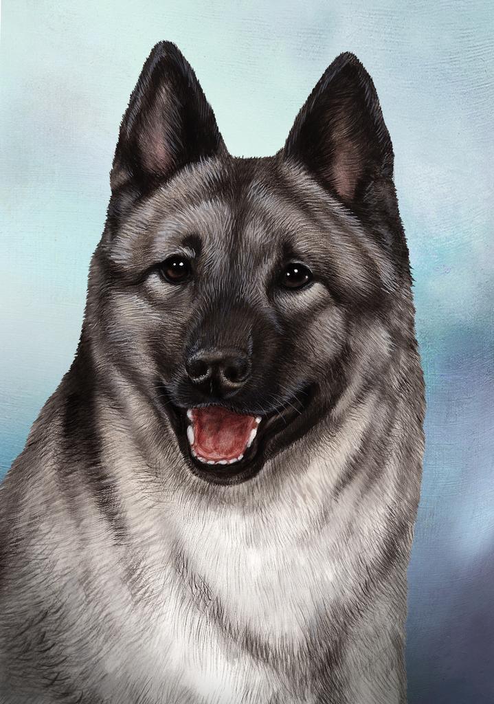 Norwegian Elkhound Dog by Tamara Burnett Box of 10 Blank Note Cards 4x5 266616 1077-4x5