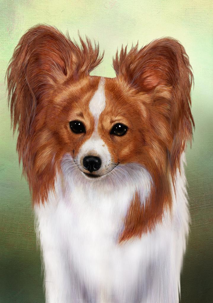 Papillon Dog by Tamara Burnett Box of 10 Blank Note Cards 4x5 266619 1080-4x5