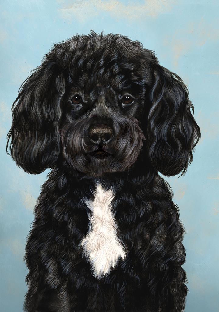 Portuguese Water Dog by Tamara Burnett Box of 10 Blank Note Cards 4x5 266625 1086-4x5