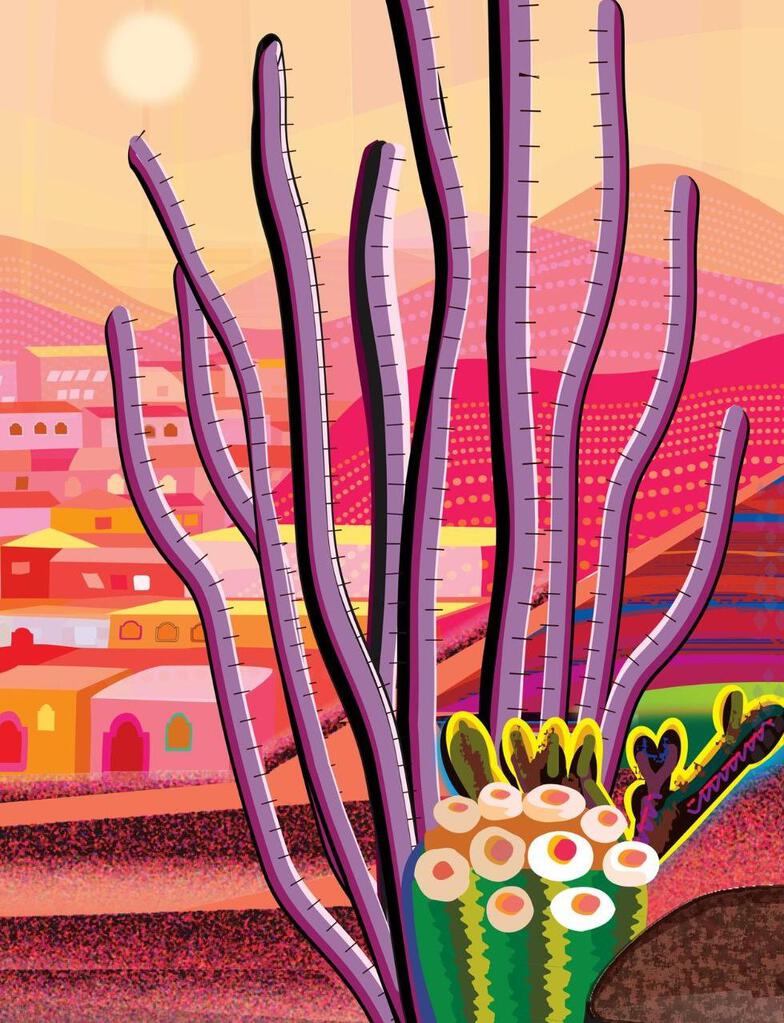 Ocotillo Barrel Cholla Cactus Red And Pink Desert Sunrise Folk Art Box 10 Blank Note Cards 4x5 267126