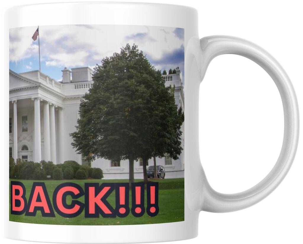 Donald Trump Presidential Inauguration 45 47 Im Back Ceramic Coffee Mug 12 oz 267621
