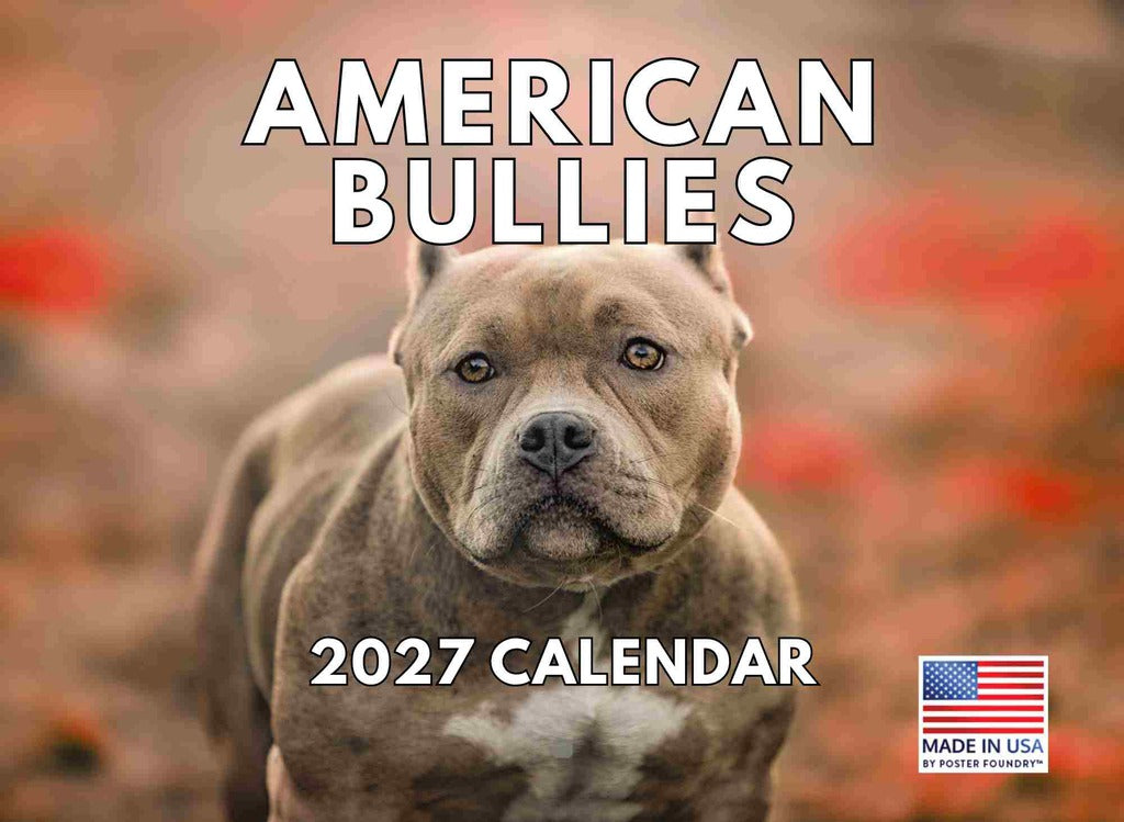American Bully Dog Calendar 2027 Monthly Wall | American Made In The USA 267689