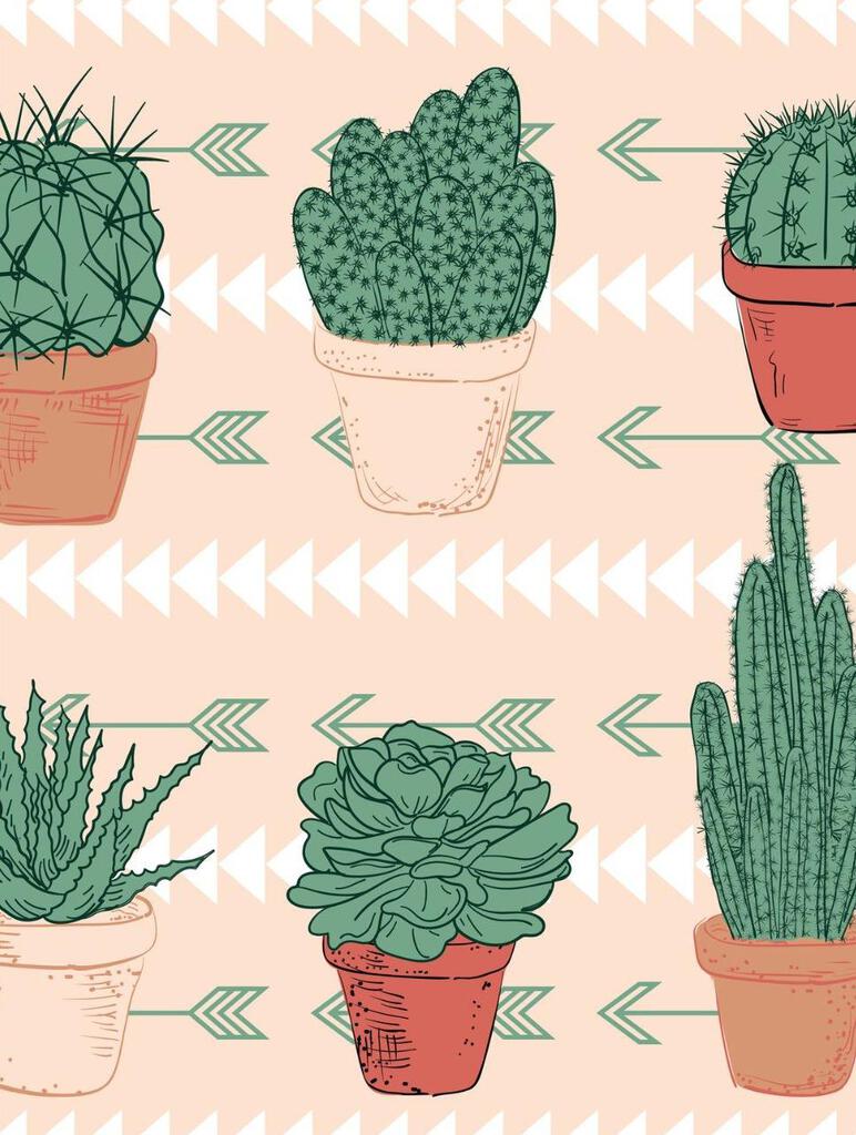 Cute Cactus Southwest Cream Arrows Arrowheads Box of 10 Blank Note Cards 4x5 267828
