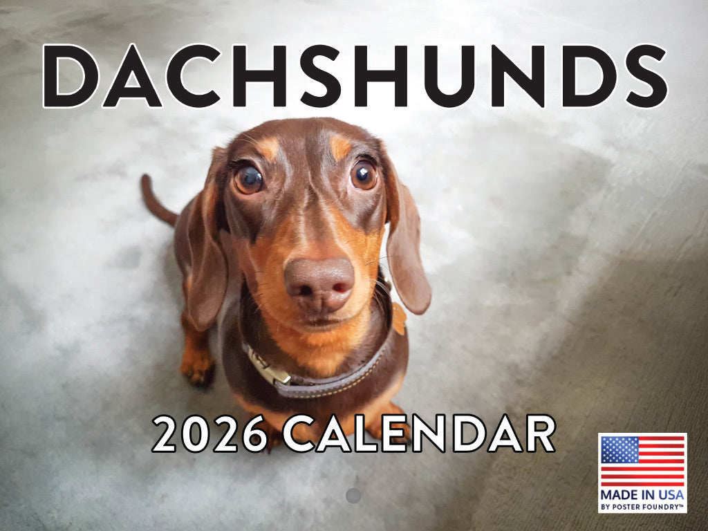 Dachshund Calendar 2026 Monthly Wall Calender 12 Month | American Made In The USA 268033