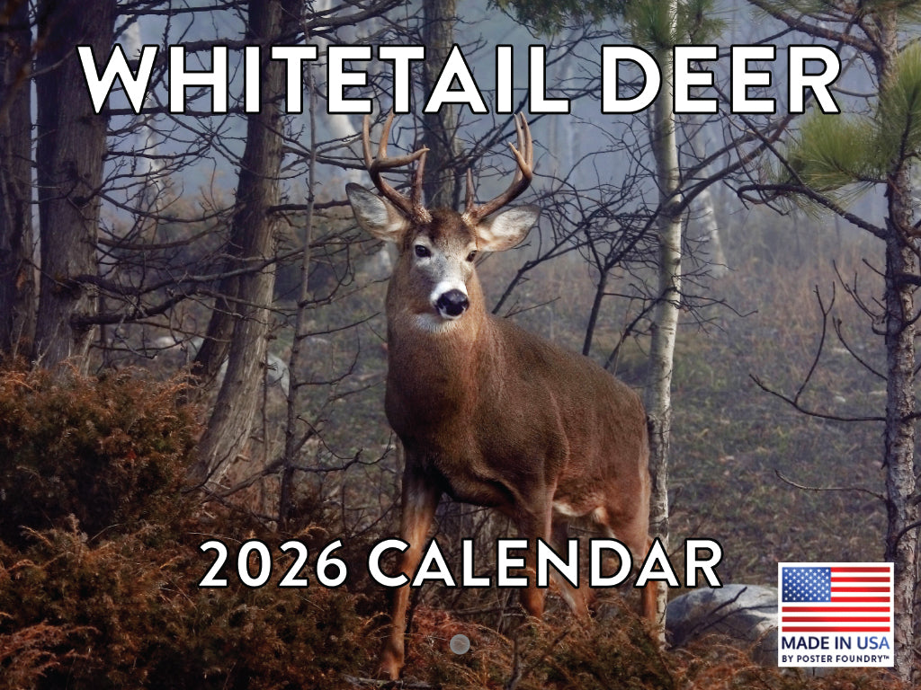 Whitetail Deer Calendar 2026 White Tail Hunting Monthly Wall Calender 12 Month | American Made In The USA 268048