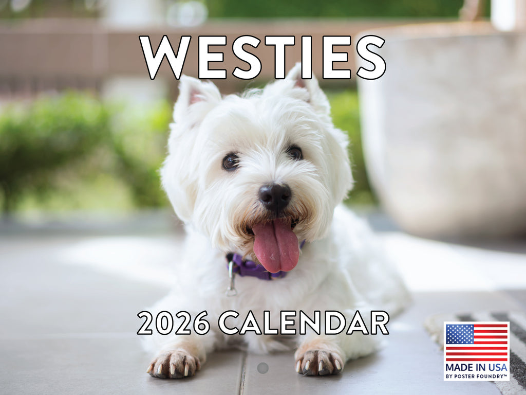 Westie Calendar 2026 West Highland Terrier Gifts Westies Monthly Wall Calender 12 Month | American Made In The USA 268050