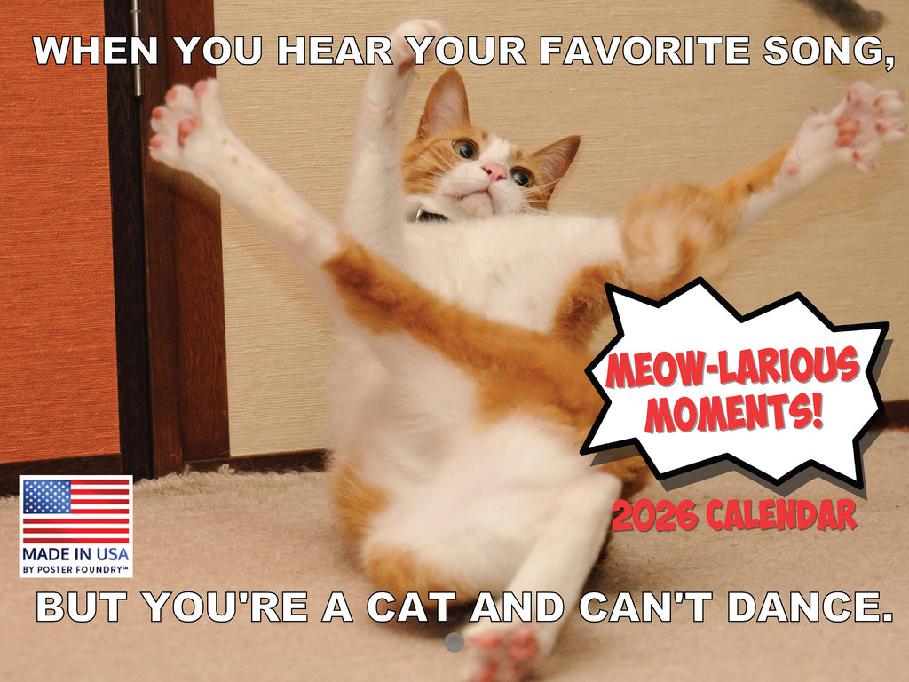 Funny Cat Calendar 2026 Cats Monthly Wall Calender 12 Month | American Made In The USA 268058