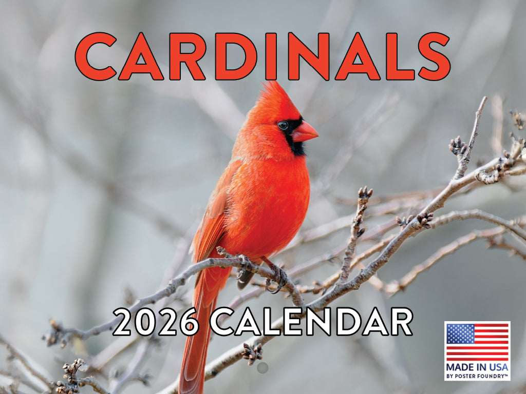 Cardinal Calendar 2026 Cardinals Monthly Wall Calender 12 Month | American Made In The USA 268060