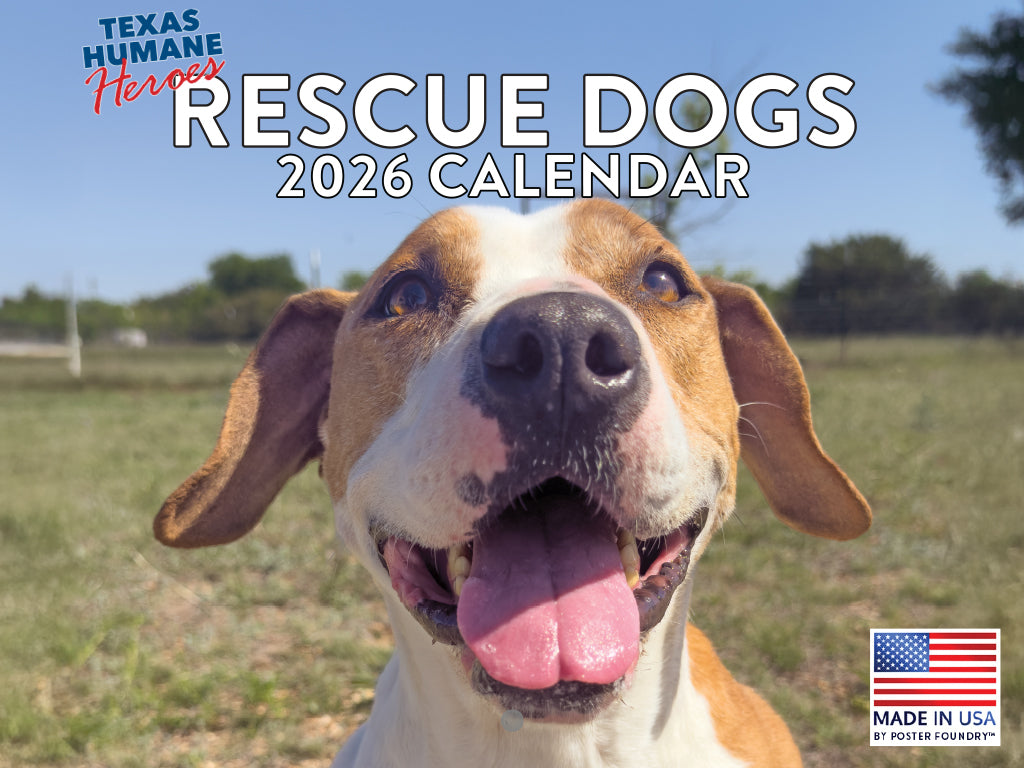 Rescue Dog Calendar 2026 Monthly Wall Calander 12 Month | American Made In The USA 268082