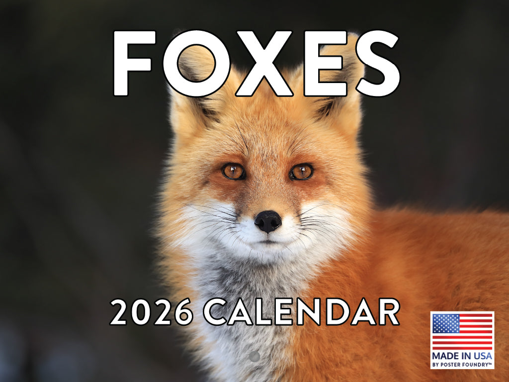 Fox Calendar 2026 Foxes Monthly Wall Calender 12 Month | American Made In The USA 268189