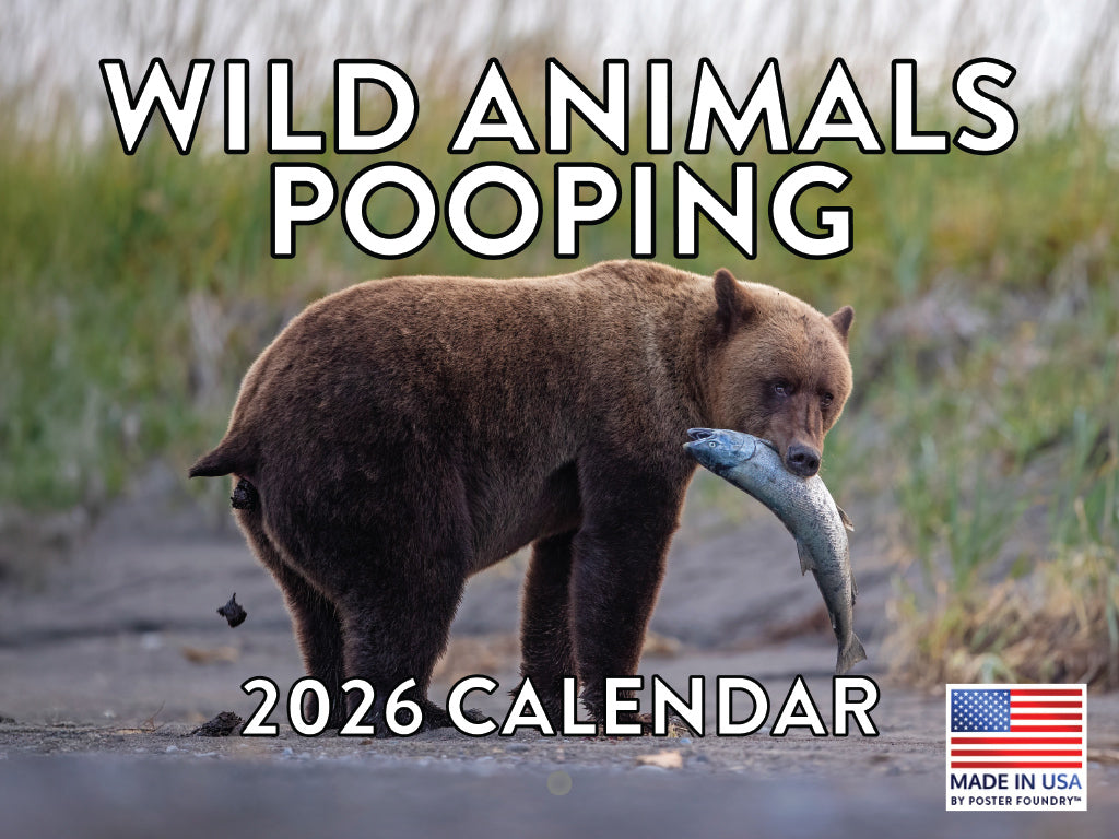 Wild Animals Pooping Calendar 2026 Goofy Gift for Guys Monthly Wall Calender 12 Month | American Made In The USA 268213