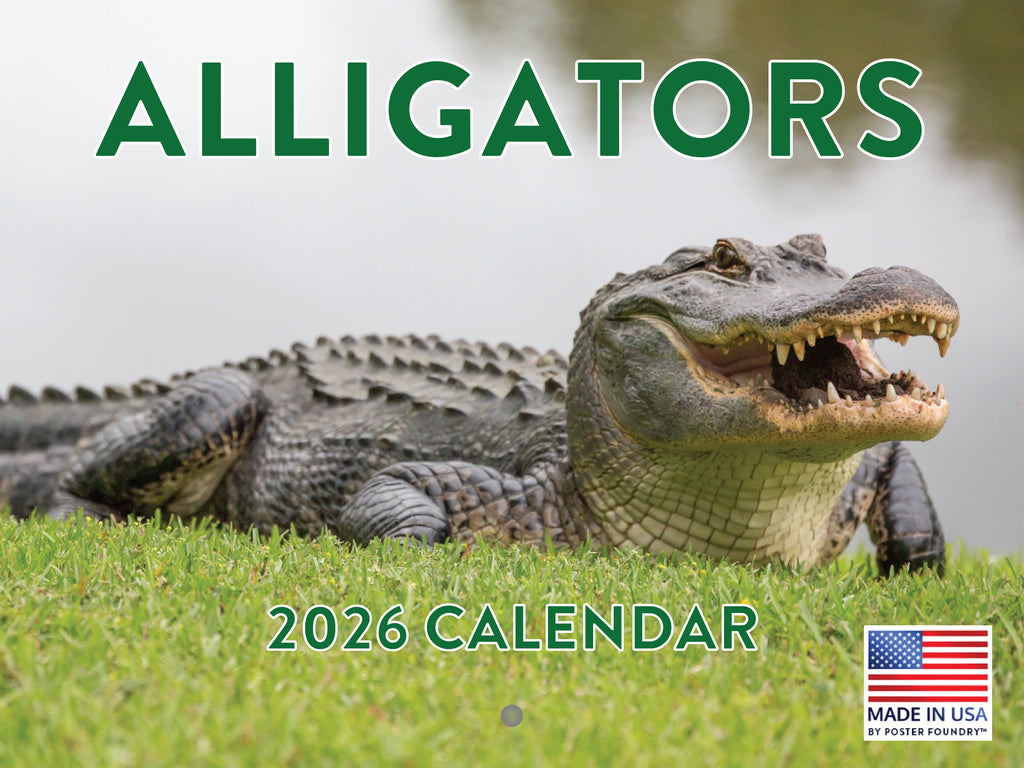 Alligator Calendar 2026 Monthly Wall Calender 12 Month | American Made In The USA 268341