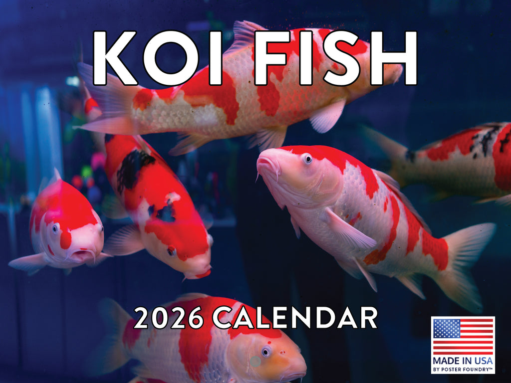 Koi Fish Calendar 2026 268467