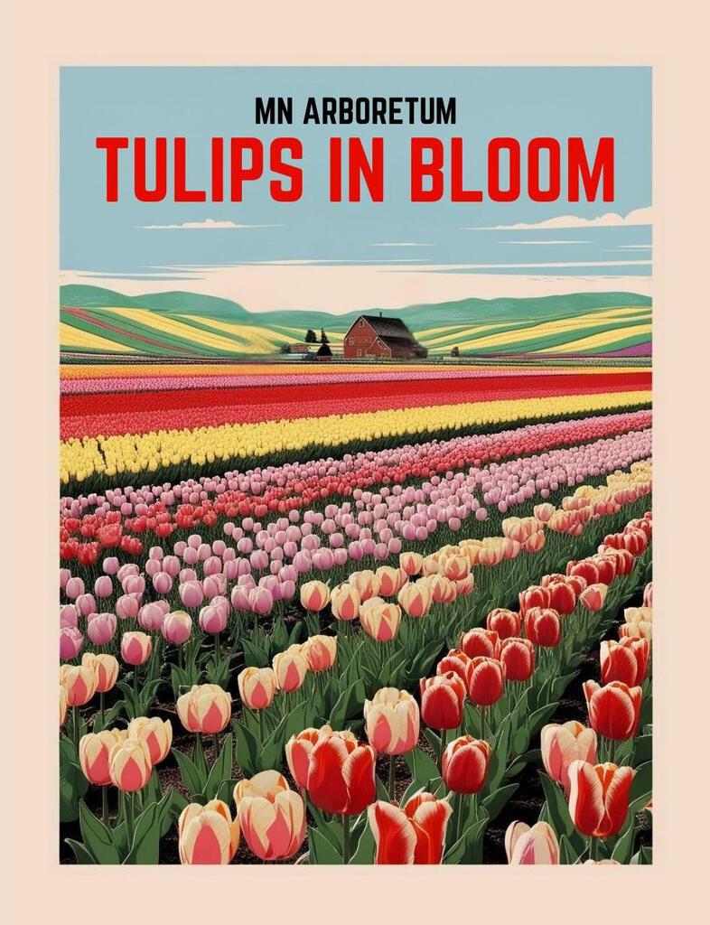 CUSTOM Minnesota Arboretum Retro Travel Art Box of 10 Blank Note Cards 4x5 269152