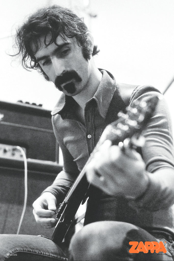 Frank Zappa Guitar Cool Wall Art Print Poster 24x36 269764