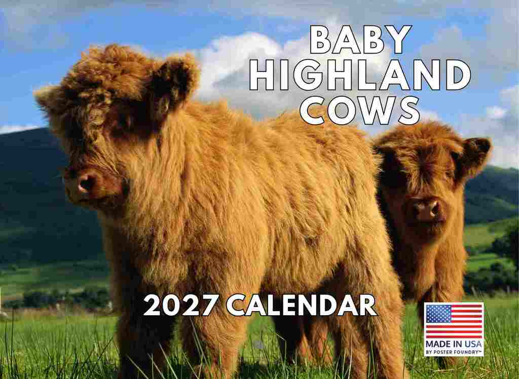 Baby Highland Cow Calendar 2027 Monthly Wall Calender 12 Month | American Made In The USA 270087