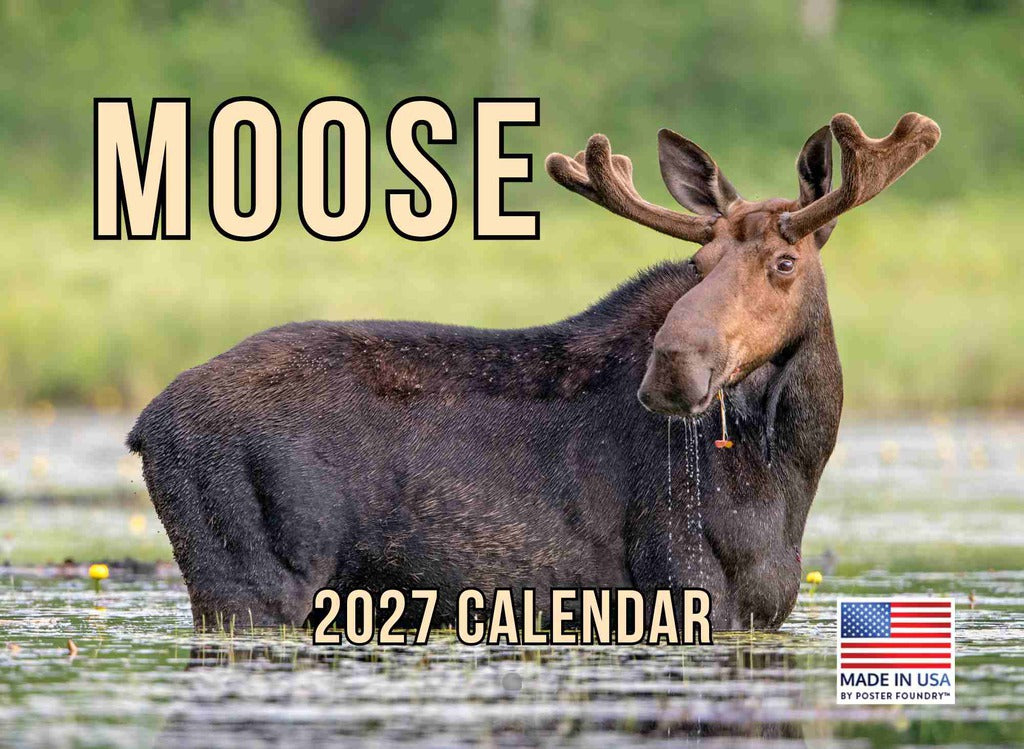 Moose Calendar 2027 Monthly Wall Calender 12 Month | American Made In The USA 270233