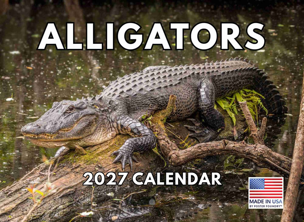 Alligator Calendar 2027 Monthly Wall Calender 12 Month | American Made In The USA 270241