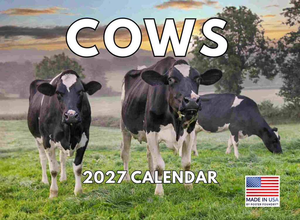 Cow Calendar 2027 Monthly Wall Calender 12 Month | American Made In The USA 270313