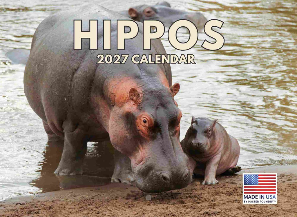 Hippo Calendar 2027 Hippopotamus Hippos Monthly Wall Calender 12 Month | American Made In The USA 270322