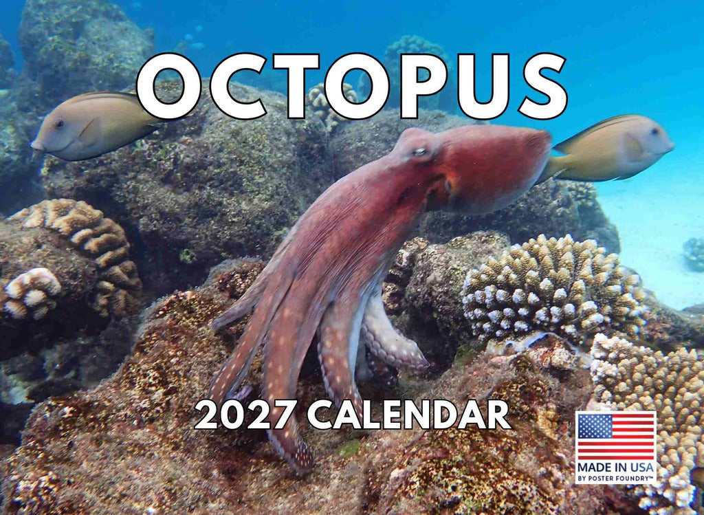 Octopus Calendar 2027 Monthly Wall Calender 12 Month | American Made In The USA 270338