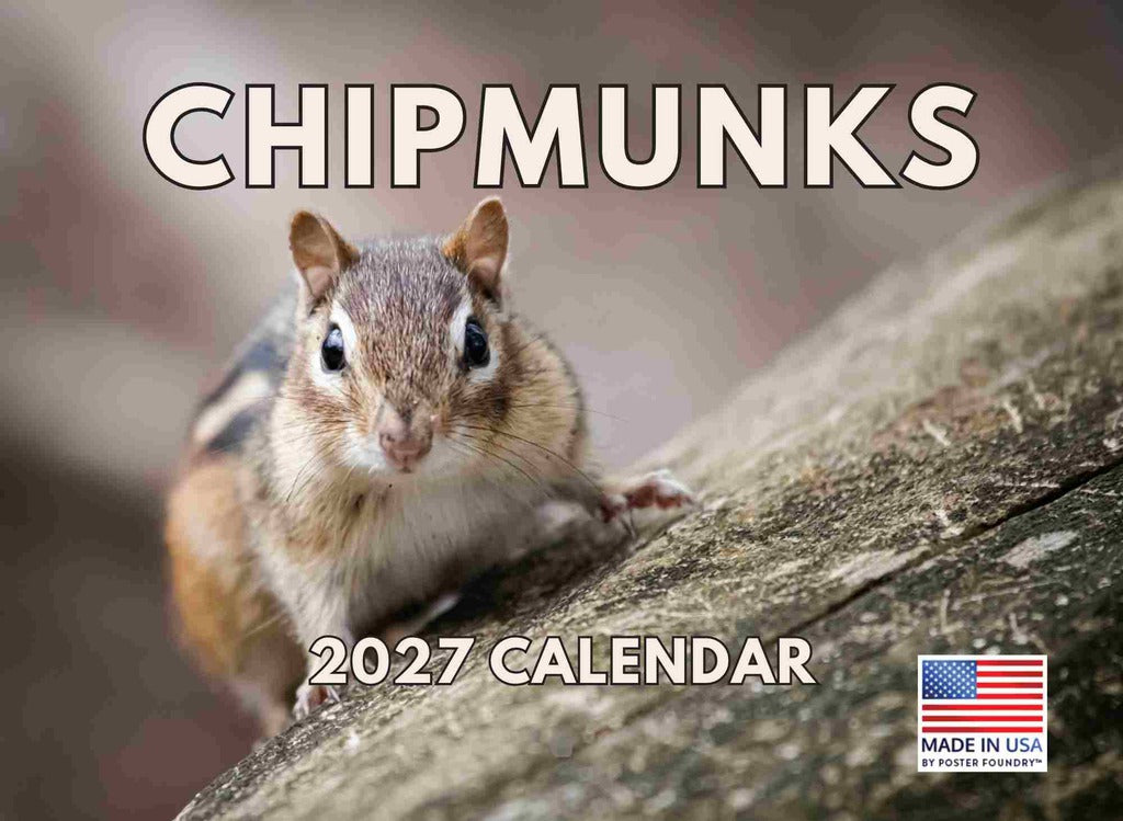 Chipmunk Calendar 2027 Monthly Wall Calender 12 Month | American Made In The USA 270379