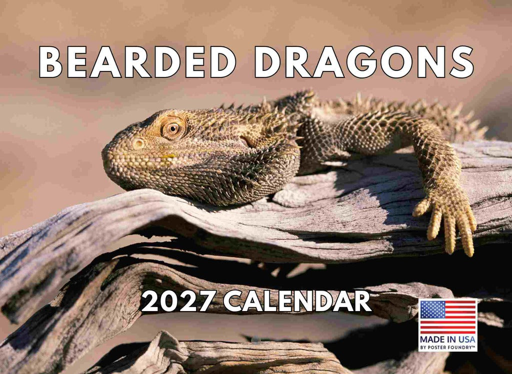 Bearded Dragon Calendar 2027 Monthly Wall Calender 12 Month | American Made In The USA 270498