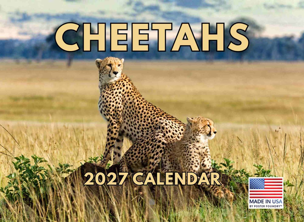 Cheetah Calendar 2027 Monthly Wall 12 Month Kids Safari Theme | American Made In The USA 270500
