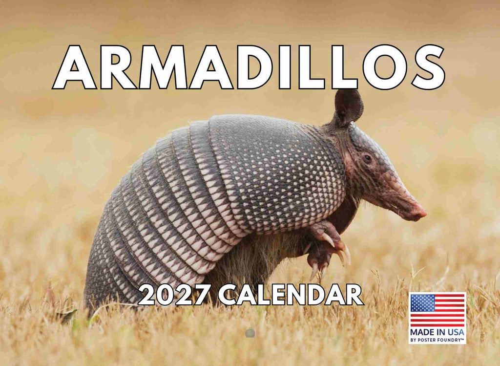 Armadillo Calendar 2027 Monthly Wall Calender 12 Month | American Made In The USA 270650