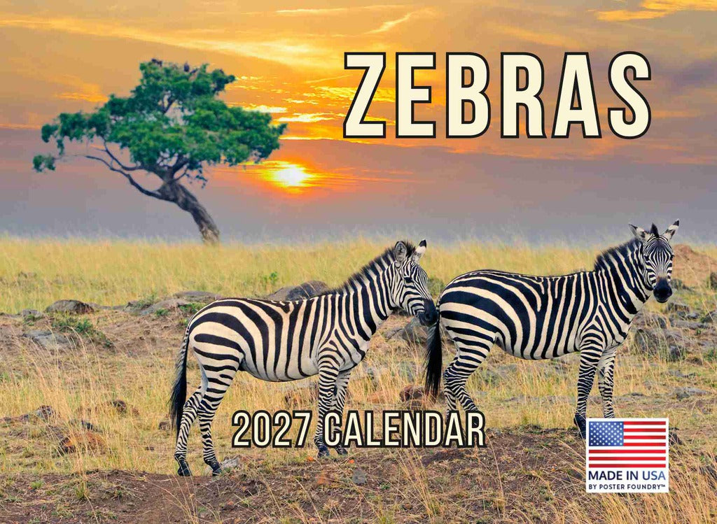 Zebra Calendar 2027 Monthly Wall Calender 12 Month | American Made In The USA 270703