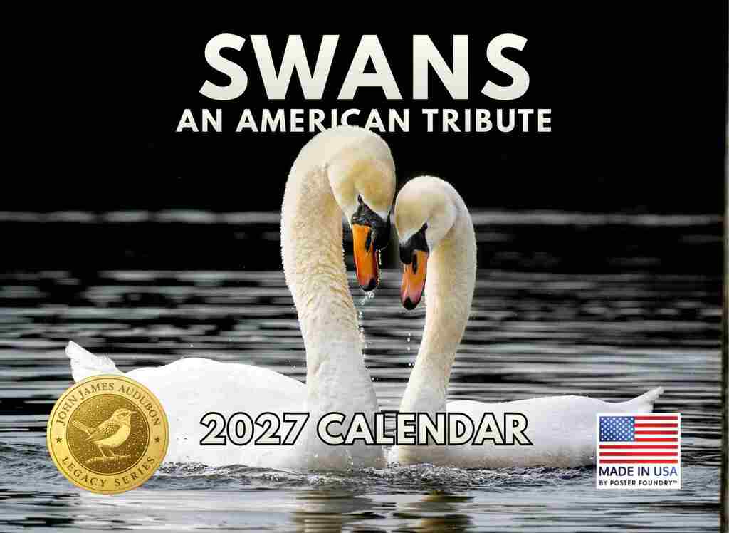 JJ Audubon Tribute Swan Calendar 2027 Monthly Wall Calender 12 Month | American Made In The USA 270757