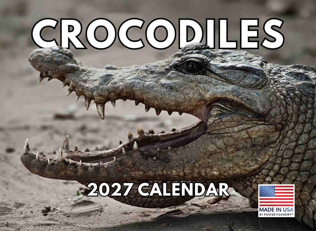 Crocodile Calendar 2027 Monthly Wall Calender 12 Month | American Made In The USA 270805