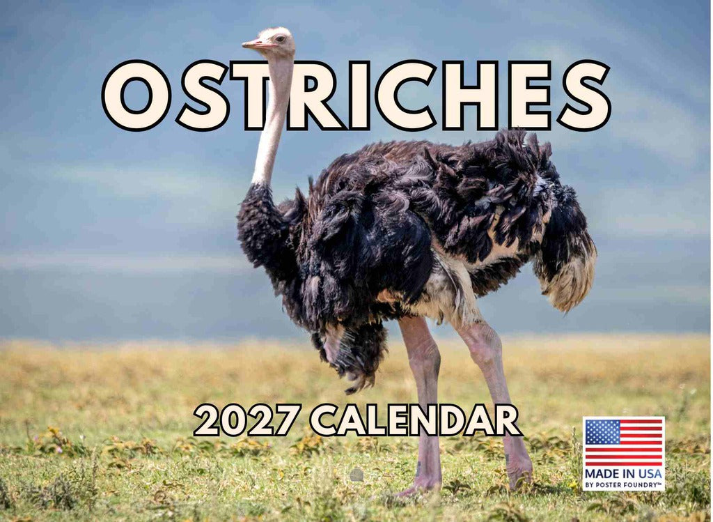 Ostrich Calendar 2027 Monthly Wall Calender 12 Month | American Made In The USA 270836