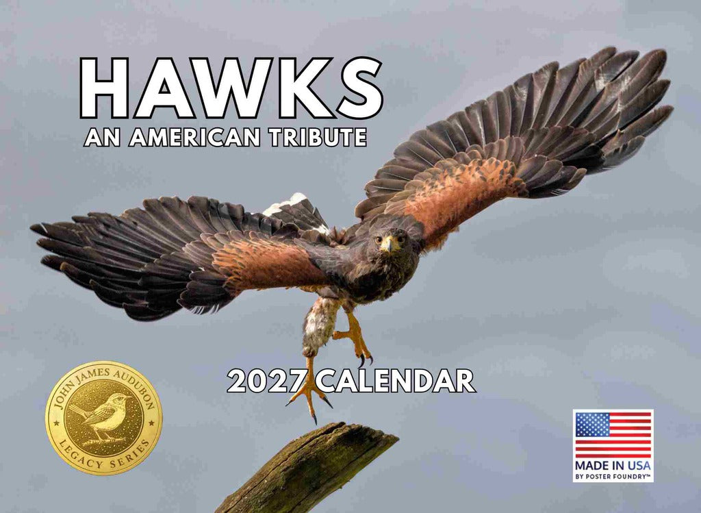 JJ Audubon Tribute Hawk Calendar 2027 Monthly Wall Calender 12 Month | American Made In The USA 275039