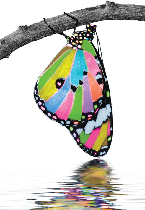 Butterfly the Vivid Jungle collection. Retail $2.99. Inside: BLANK 5x7 Greeting Card | 6068 | 255259