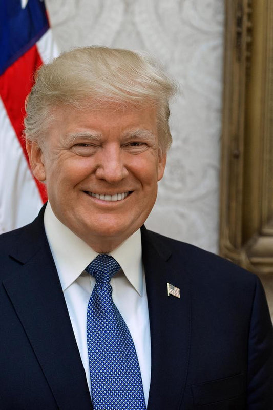 Trump Poster 45th 47th President Donald Trump Official Presidential Photo Portrait 45 47 Cool Wall Art Print Poster 16x24 224595