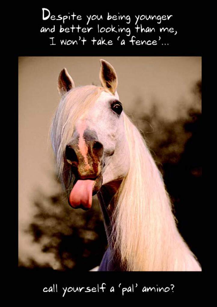 Horse tongue- Humor Birthday card from the Pigment collection. Retail $2.99. Inside: Happy Birthday. 255083 05120A
