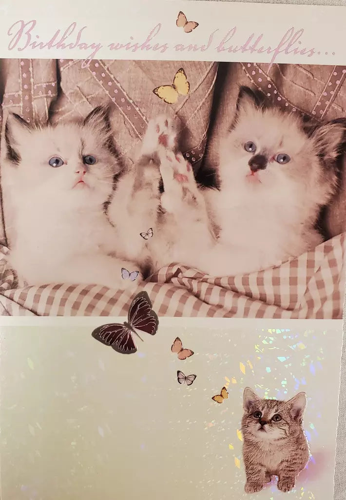 Cats- Female general birthday card. Retail $3.49. Inside: warm thoughts for you on your birthday... 255250 02072D