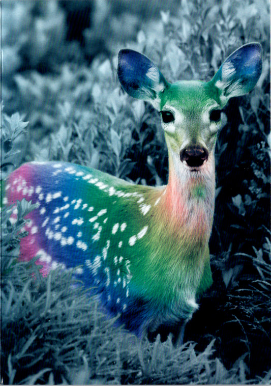 Deer Blank Greeting Card Retail $2.99. Inside: BLANK | 7097 | 255354