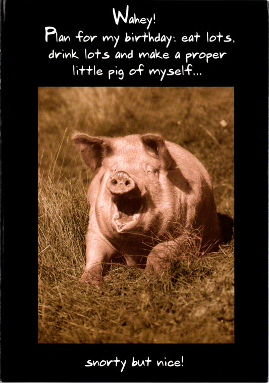Proper little pig- Humor Birthday card. Retail $2.99. Inside: Happy Birthday. | 05115A | 255369